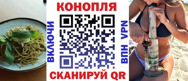 где продают наркотики  Курчалой  Canna-Cookies конопля 