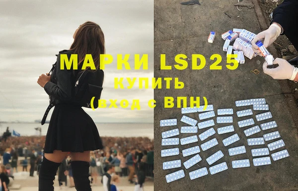 ПСИЛОЦИБИНОВЫЕ ГРИБЫ Балахна