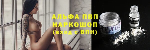 соль ск Арсеньев