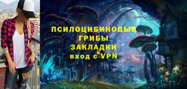 ПСИЛОЦИБИНОВЫЕ ГРИБЫ Балахна