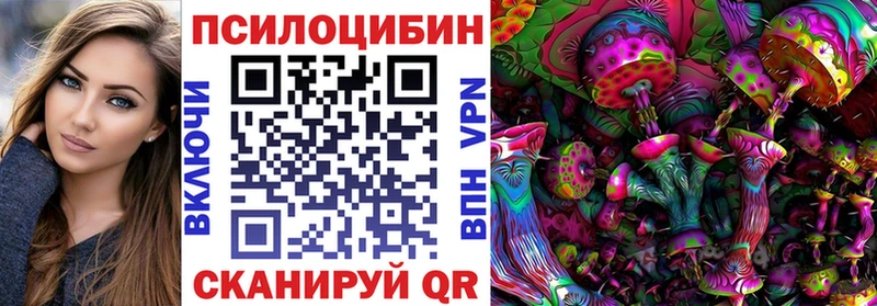 магазин  наркотиков  Курчалой  Галлюциногенные грибы мухоморы 