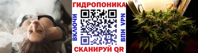 Бошки Шишки ГИДРОПОН  Курчалой 